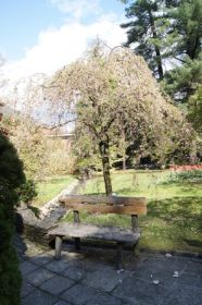 Villa Taranto_Garten 7.JPG