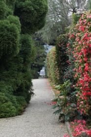 Isola Bella_Garten 5 (1).JPG