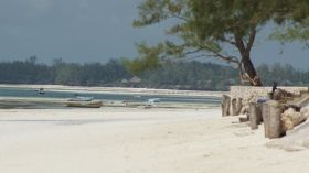 Strand_6.JPG