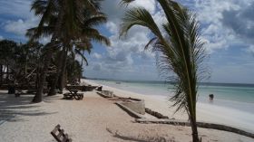 Strand_8.JPG