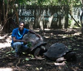 Dennis und Schildkröten.JPG