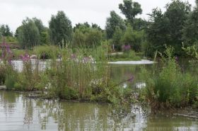 999999_2_Bootssafari.JPG