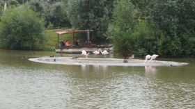 999999_6_1_Bootssafari.JPG