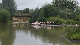 999999_6_2_Bootssafari.JPG