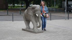 999999999_6_Elefant.JPG