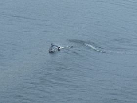 84_DSC04153_1.jpg