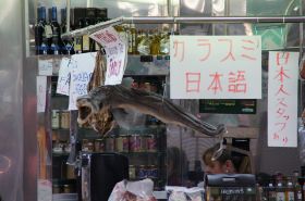 DSC06713.JPG